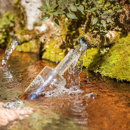 Appartamento Le Cocon de la Source - Vacances et télétravail en Provence Verte Cotignac Esterno foto