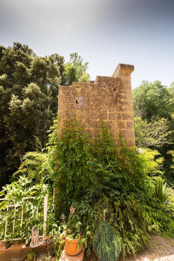 Appartamento Le Cocon de la Source - Vacances et télétravail en Provence Verte Cotignac Esterno foto