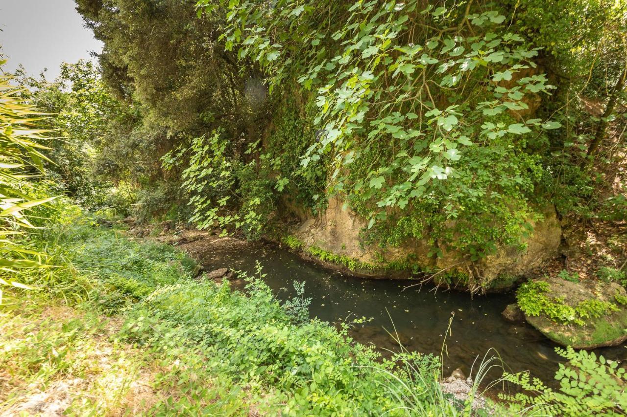 Appartamento Le Cocon de la Source - Vacances et télétravail en Provence Verte Cotignac Esterno foto