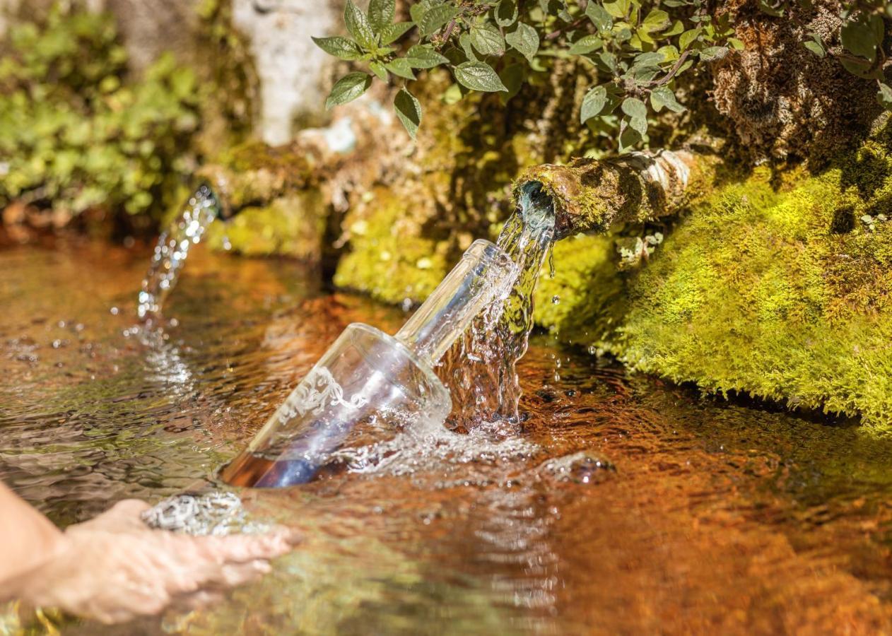 Appartamento Le Cocon de la Source - Vacances et télétravail en Provence Verte Cotignac Esterno foto